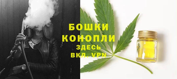 бутират Инсар