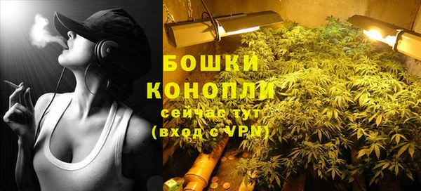 PSILOCYBIN Зеленокумск