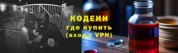 соль ск Каменка