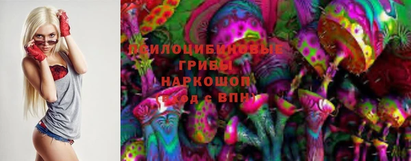 бутират Инсар