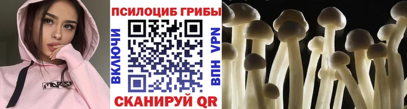 Купить Калачинск Галлюциногенные грибы мицелий